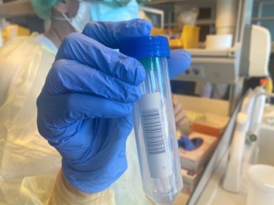 (17-02-22) Sanidad registra 1.079 casos de COVID-19 en las últimas 24 horas