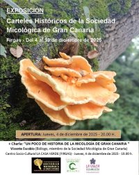 Exposición de los carteles anunciadores de las Jornadas Micológicas de Gran Canaria en La Casa Verde de Firgas del 4 al 19 de diciembre