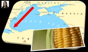 Cooperaci&oacute;n y desarrollo. Sector Primario (IX) &iquest;Crisis alimentaria o de verg&uuml;enza?