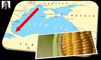 Cooperación y desarrollo. Sector Primario (IX) ¿Crisis alimentaria o de vergüenza?