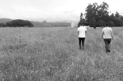 FADEMUR, alarmada por los asesinatos machistas ocurridos en las últimas jornadas, pide una mayor protección a las víctimas en el medio rural