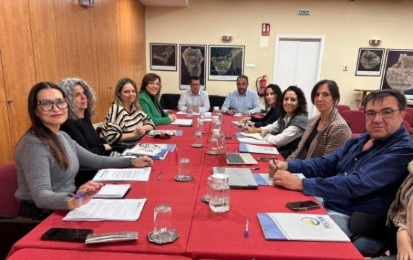 El Gobierno de Canarias aborda con la FECAM la violencia sobre la infancia y la adolescencia en el &aacute;mbito deportivo