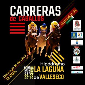 Cuenta atrás para la Copa Hípica de San Vicente Ferrer de Valleseco