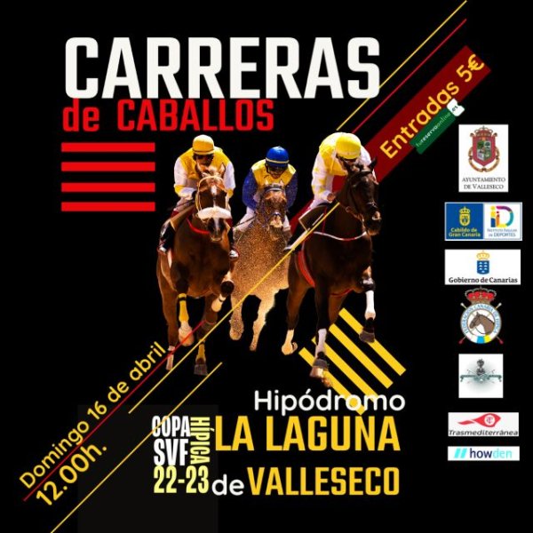 Cuenta atrás para la Copa Hípica de San Vicente Ferrer de Valleseco