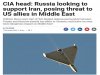 La dimensi&oacute;n militar de la asociaci&oacute;n estrat&eacute;gica ruso-iran&iacute; estabiliza Asia occidental
