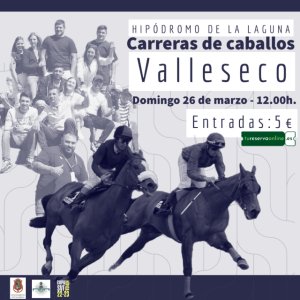 Valleseco: 11 grandes carreras de caballos este domingo en el hipódromo de La Laguna