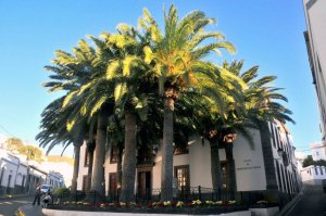 El Ayuntamiento de Agaete insta al Gobierno de Canarias a agilizar el proceso para abrir la Escuela Infantil