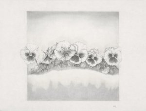 Quinta edición del curso de dibujo e ilustración botánica en la Real Academia Canaria de Bellas Artes