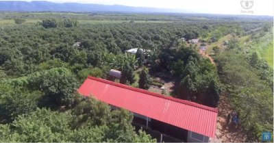 Sector Primario: Agricultura y economía (IV): Autosuficiencia alimentaria. No sólo producir alimentos