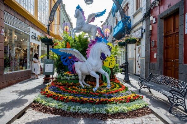 La primavera florece en Gáldar
