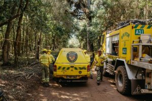 Actualización de la situación del incendio forestal de Tenerife