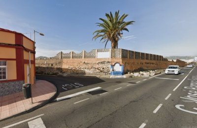 Turc&oacute;n muestra su indignaci&oacute;n ante la p&eacute;rdida de una singular palmera en el Calero Alto de Telde