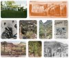 Senderismo: Temisas-Ag&uuml;imes. Una ruta para volver a los or&iacute;genes