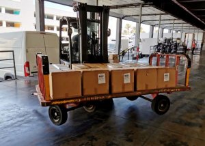 PLANASER 2.0 avanza gracias al éxito en el envío de ejemplares vivos de seriola desde Canarias