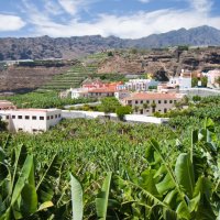 Vivienda adjudica la redacci&oacute;n de proyecto para la construcci&oacute;n de 37 inmuebles para los afectados por el volc&aacute;n