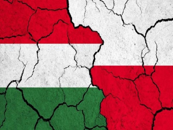 Artículo de opinión: &#039;La disputa polaco-húngara se agrava después de que Sikorski mintiera sobre Szijjarto&#039;