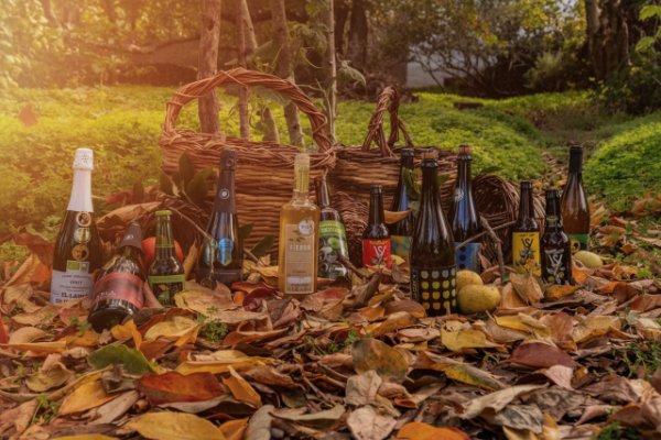 Las sidras de Valleseco triunfa en el Concurso Internacional de Sidra del Sagardo Forum