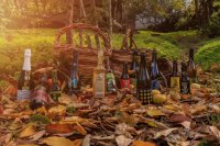 Las sidras de Valleseco triunfa en el Concurso Internacional de Sidra del Sagardo Forum