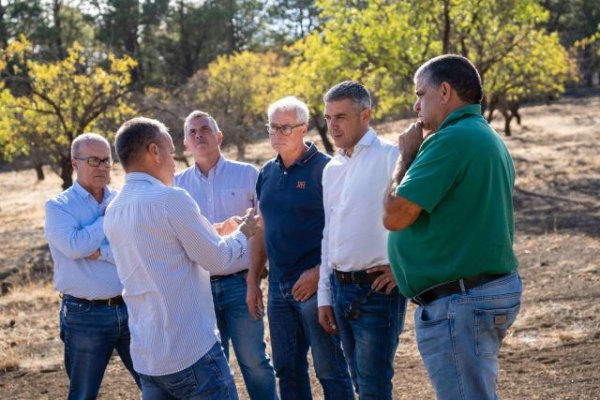 Gobierno de Canarias y productores promoverán la recuperación de higueras y almendros en El Hierro