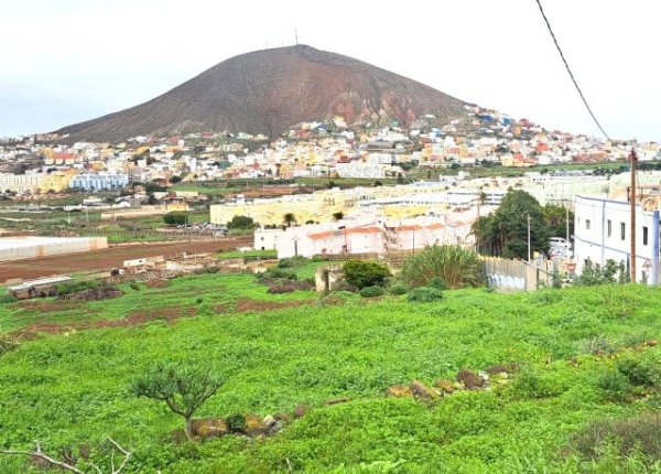 El Gobierno canario concede una subvenci&oacute;n al Ayuntamiento de Gu&iacute;a para la modificaci&oacute;n del Plan General en Laderas de Soleto