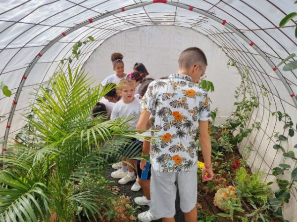 El CEIP Benito M&eacute;ndez Tarajano construye un mariposario en sus instalaciones