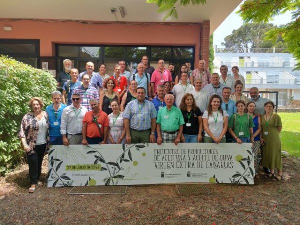 Gobierno canario y productores de aceituna y aceite aúnan esfuerzos para potenciar al sector