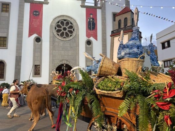 La Aldea celebra la tradicional romería-ofrenda en honor a San Nicolás de Tolentino con la participación de 29 carretas