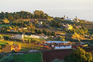 La web municipal Guía Rural informa de las convocatorias de ayudas al sector agrícola y ganadero de las distintas instituciones