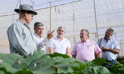 El Gobierno de Canarias apuesta por potenciar la producci&oacute;n local para reducir la dependencia del exterior