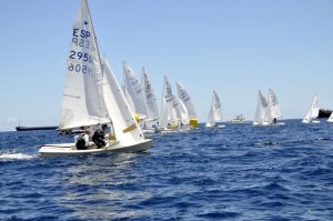 Cuatro oros para regatistas del Real Club Náutico, en los campeonatos de Canarias de Vela Ligera
