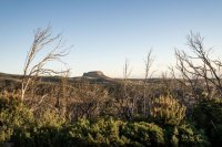 La Gomera: El Cabildo baja al grado 1 de medidas preventivas aplicadas por riesgo de incendios forestales
