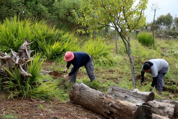 Valleseco lanza dos programas de empleo para cubrir 31 plazas