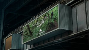 La Gomera refuerza su promoci&oacute;n internacional con una campa&ntilde;a exterior en el mercado centroeuropeo