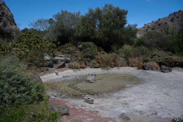 El Cabildo invierte más 1,2 millones de euros en varios proyectos de mejora y rehabilitación del Jardín Botánico Canario