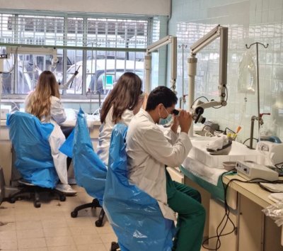 El SCS incorpora a su plantilla a 223 nuevos MIR que est&aacute;n finalizando su periodo formativo especializado