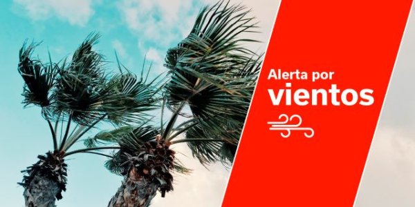 El Gobierno actualiza la situación de alerta por viento en Tenerife y La Palma