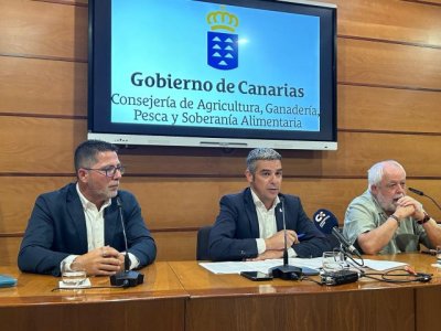 Canarias reconoce quince razas aut&oacute;ctonas como patrimonio gen&eacute;tico por su valor etnogr&aacute;fico, productivo y ambiental