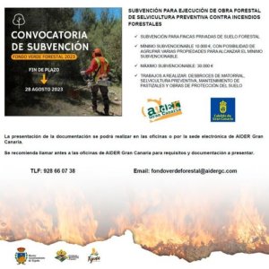 Tejeda: Subvención para la ejecución de Obra Forestal de Selvicultura Preventiva contra Incendios Forestales