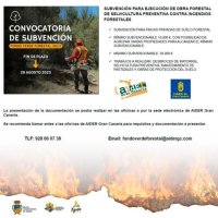 Tejeda: Subvención para la ejecución de Obra Forestal de Selvicultura Preventiva contra Incendios Forestales