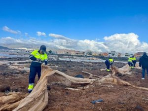 El Cabildo destina 1,5 millones para renovar la campa&ntilde;a de empleo para limpiar de invernaderos los aleda&ntilde;os del Aeropuerto