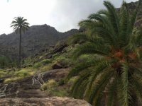 Valleseco: Plan de senderismo de fin de semana con la Ruta por los barrancos de Tejeda