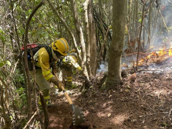 Transición Ecológica refuerza la estructura y los presupuestos de los equipos EIRIF en Canarias