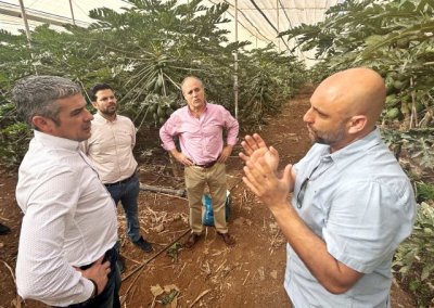 Quintero destaca el potencial de Canarias como productor de frutales tropicales y subtropicales
