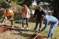 El Granca Live Forest se convierte en una realidad con la plantación de los primeros 800 árboles en Santa María de Guía