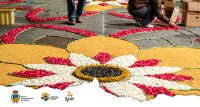 Tejeda: la Calle Párroco Hernández Guerra (Calle Nueva), permanecerá cerrada al tráfico por las alfombras