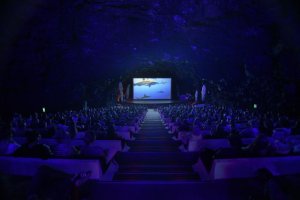    El festival de los océanos más grande de Europa crece en Lanzarote con un doble pase y actividades durante cuatro días