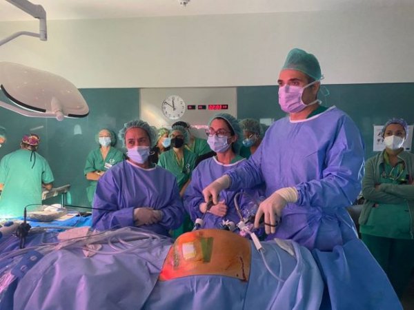 El HUC acoge un curso sobre tratamientos m&aacute;s innovadores en hernias y eventraciones