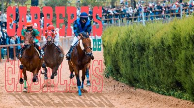 Valleseco: 8 grandes carreras de caballos este sábado en el hipódromo de La Laguna