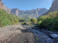 Transici&oacute;n Ecol&oacute;gica invierte 400.000 euros para el control de ex&oacute;ticas invasoras en la Caldera de Taburiente