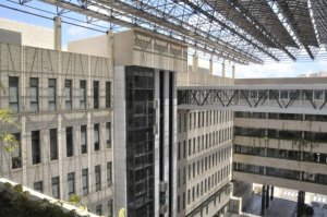 Una investigación clínica del servicio de Nefrología del Hospital Dr. Negrín, reconocida a nivel nacional